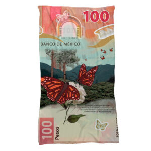 Cobija Billete de 100