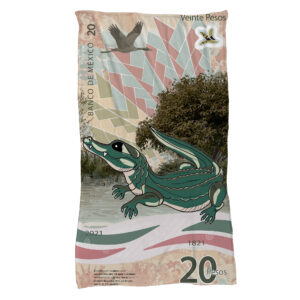 Cobija Billete de 20