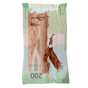 Cobija Billete de 200