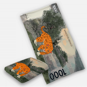 Toalla billete 1000