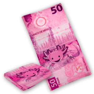 Toalla billete de 50 ajolote